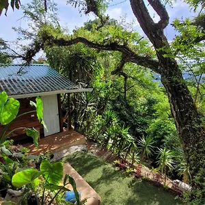 cabaas-en-zona-16.guatemalaantiguahotels.com/